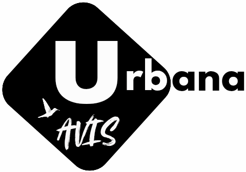 urbana avis